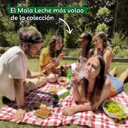 amigos en picnic sobre mantel rojo y blanco jugando mala leche con marihuana